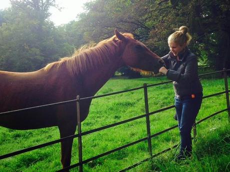 Afternoon Tea: Markree Castle