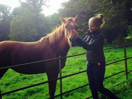 Afternoon Tea: Markree Castle