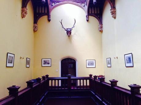 Afternoon Tea: Markree Castle